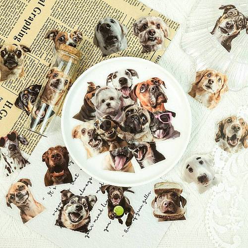 50Pcs Dog PET Self-Adhesive Picture Stickers STIC-C010-21-1