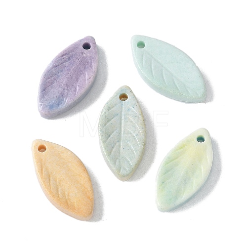 Natural Rainbow Alashan Agate Pendants G-G194-03-1