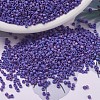 MIYUKI Delica Beads SEED-J020-DB0880-1