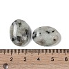 Natural Sesame Jasper Cabochons G-B080-01A-04-3