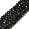 Natural Silver Obsidian Beads Strands G-C280-B08-6mm-2