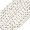 Electroplated Shell Pearl Beads Strands BSHE-K017-8mm-1