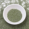 MIYUKI Delica Beads SEED-J020-DB0263-2