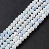 Faceted Electroplated Glass Beads Strands X-GLAA-C023-02A-6