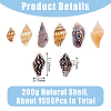 DICOSMETIC 1550Pcs Natural Spiral Shell Beads SSHEL-DC0001-04-2