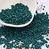 Baking Paint Glass Seed Beads SEED-S042-05B-67-1