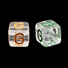 Acrylic European Beads MACR-I042-01G-2
