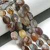 Natural Botswana Agate Beads Strands G-H004-B02-02-2