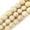 Natural Fossil Graduated Beads Strands G-F830-A03-01A-2