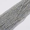 Natural Labradorite Beads Strands G-E347-14-1