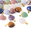 Fashewelry 20Pcs 10 Styles Natural Mixed Gemstone Pendants G-FW0001-39-15