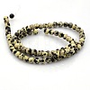 Round Natural Dalmatian Jasper Beads Strands G-N0120-23-4mm-2