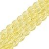Transparent Glass Beads Strands GLAA-N071-01A-A02-1