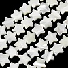 Natural Trochid Shell/Trochus Shell Beads Strands SH-CBA2978-17B-1
