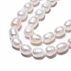 Natural Cultured Freshwater Pearl Beads Strands X-PEAR-N012-07B-4
