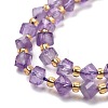 Natural Amethyst Beads Strands G-P463-40-4