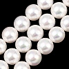 Electroplated Shell Pearl Graduated Beads Strands BSHE-C011-04-2