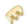 Brass Slide Charms KK-Z163-01G-E-2