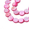 Freshwater Shell Beads Strands SHEL-T009-B16-03-3