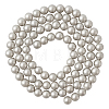 Shell Pearl Beads Strands BSHE-TA0002-03A-4mm-1