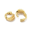 Brass Micro Pave Cubic Zirconia Hoop Earring EJEW-C088-01C-G-2