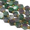 Dyed Natural Fuchsite Beads Strands G-F833-B04-01-3
