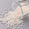 12/0 Grade A Round Glass Seed Beads X-SEED-N001-B-332-1