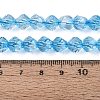 Crackle Transparent Glass Beads Strands GLAA-N068-02A-03-5
