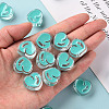 Transparent Enamel Acrylic Beads TACR-S155-004G-5