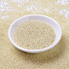 MIYUKI Round Rocailles Beads SEED-G007-RR0577-2