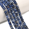 Natural Sodalite Beads Strands G-L654-I12-01-1
