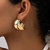 Alloy Two-layer Hoop Earrings FS-WG81E20-01-2