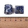 Natural Blue Spot Jasper European Beads G-P520-05J-2