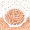 Baking Paint Glass Seed Beads SEED-Q041-03A-05-2