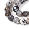 Dyed & Heated Natural Fire Crackle Agate Beads Strands G-N359-01B-04-4