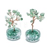 Natural Green Aventurine Chip Pachira Glabra Display Decorations DJEW-K025-04B-1