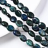 Natural Chrysocolla and Lapis Lazuli Beads Strands X-G-N330-031-4