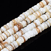 Natural Freshwater Shell Beads Strands X-SHEL-T018-28-1