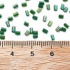 Two Cut Glass Seed Beads CSDB167B-3