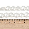 Electroplated Shell Pearl Beads Strands BSHE-G027-13A-5