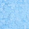 FGB Frosted Transparent Glass Seed Beads SEED-N013-06A-11-3