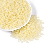 Transparent Glass Seed Beads SEED-Q041-01C-2