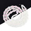 Frosted Glass Beads Strands GLAA-T023-40C-09-2