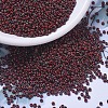 MIYUKI Round Rocailles Beads X-SEED-G007-RR4513-1
