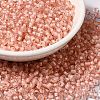 8/0 Transparent Glass Seed Beads SEED-F003-03B-15-1