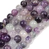 Natural Fluorite Beads Strands G-P530-B04-02A-2