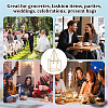 Gold Edged Transparent Plastic Packing Boxes CON-WH0107-113A-5