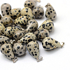 Teardrop Natural Dalmatian Jasper Pendants G-Q435-16-1