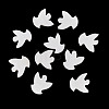 10Pcs Natural Freshwater Shell Beads BSHE-TA0001-31-4