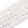 Natural Rainbow Moonstone Beads Strands G-J403-04B-6mm-1